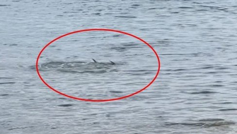 TURISTI U ČUDU POSMATRALI PRIZOR U PLIĆAKU: Pojavio se nesvakidašnji snimak iz Hrvatske (VIDEO)