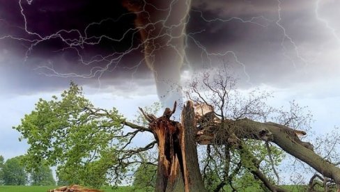 TORNADO U ITALIJI ČUPAO STABLA IZ KORENA I NOSIO KROVOVE SA KUĆA: Hitna evakuacija u više mesta, ljudi u panici (FOTO)