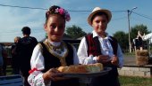 MANIFESTACIJA U SURČINSKOM NASELJU: Dani žita u Boljevcima