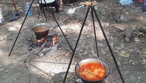 ALASKE VEČERI: Trodnevna fešta na Dunavu