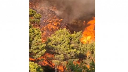 DRAMATIČNI PRIZORI U KOMŠILUKU: Bukti veliki požar, vatra se približila turističkom kampu (VIDEO)