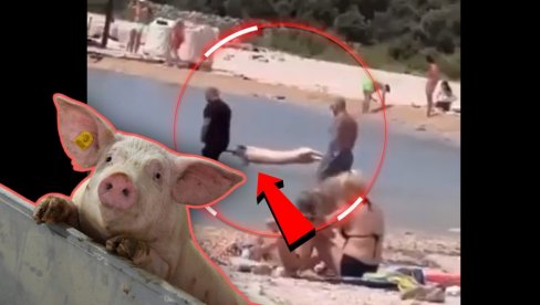 USOLILI PRASE NA RAŽNJU U MORU: Bizarna scena na plaži - ljudi u neverici gledali šta se dešava (VIDEO)