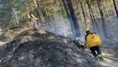 VATRENA STIHIJA OBUZDANA: Vatrogasci sprečili širenje vatre na kuće