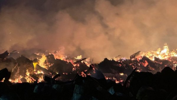 ЛОКАЛИЗОВАН ПОЖАР У НОВОСАДСКОМ НАСЕЉУ КЛИСА: Ватра захватила суву траву и растиње (ФОТО)