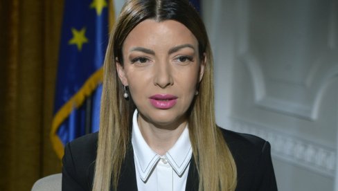 NEMA TU NIKAKVE BRIGE ZA GRAĐANE I ŽIVOTNU SREDINU Mesarović o protestima - Pokušavaju da slome predsednika, dok se on bori za bolju Srbiju