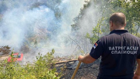 IZGORELO 50 HEKTARA RADANOVAČKE ŠUME: Veliki požar u Subotici