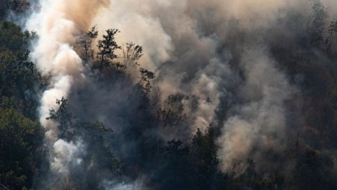 BORBA SA POŽARIMA NA PLANINI VIDLIČ TRAJE: Najkritičnije u Basari kod Pirota