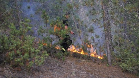 OD ŠUME - ZGARIŠTE: Vatrogasci još gase požar poviše Ušća u Ibarskoj klisuri