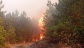 ВАТРЕНА СТИХИЈА У ХРВАТСКОЈ: Више од 100 ватрогасаца гасило шест пожара