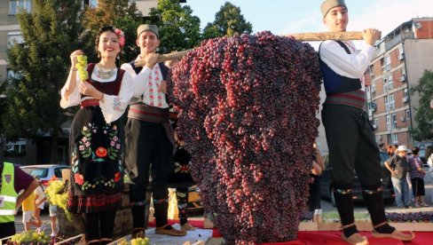 СМЕДЕРЕВО ВАЗДА ОТВОРЕНО: Последњи дан „Смедеревске јесени“