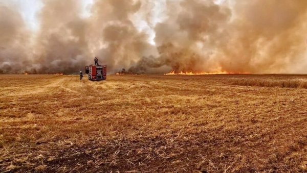 НА ДЕСЕТИНЕ ПОЖАРА У ПОЉУ: Ватрогасне екипе даноноћно на терену