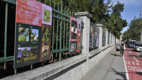 ŠIRA SLIKA O JEVREMOVCU: Otvorena izložba povodom obeležavanja 150 godina postojanja Botaničke bašte