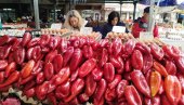 PAPRIKA PREPLAVILA PIJACU U PARAĆINU: Počinje sezona spremanja zimnice