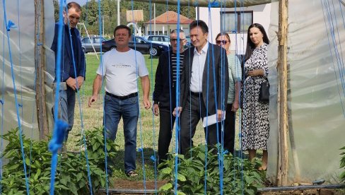 DOMAĆINI IZ PODMAJEVIČKOG KRAJA: Plastenicima do boljeg života