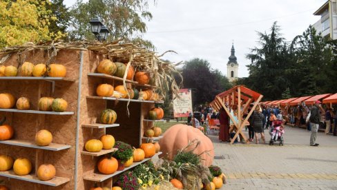 NA „DANIMA LUDAJE“ U KIKINDI 70.000 GOSTIJU: Najviše ih stiglo iz susedne Rumunije