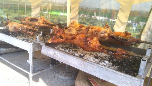 MASOVNO TROVANJE NA SEOSKOJ SLAVI KOD VRANJA: Oglasili se lekari