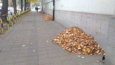 ЈЕСЕЊИ РАДОВИ: У току уређење центра Пожаревца