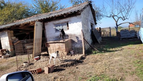 TUGA U LOZNICI POSLE TRAGEDIJE U NOVOM SADU: Svi žale Tinu i Saru - Komšiluk i srodnici obožavali sestre koje su poginule na Železničkoj