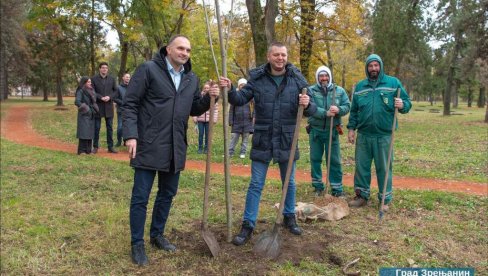 ZA PARK PUN AUTOHTONIH VRSTA: U Zrenjaninu posađena prva od 250 sadnica lipe, u planu i lišćar, hrast i javor