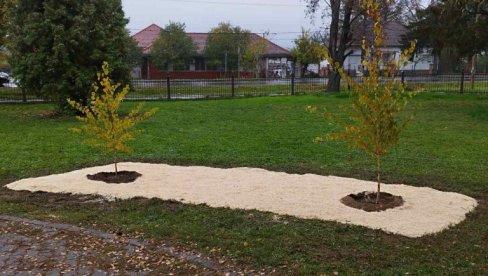 DVE BREZE USPOMENA NA MILICU I ANITU:Đaci i nastavnici Poljoprivredne škole u Futogu simbolično ostavili trag u sećanju