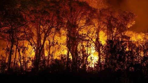 IZGORELO VIŠE OD 10.000 HEKTARA: U Ekvadoru vanredno stanje, 22 aktivnih požara (FOTO/VIDEO)