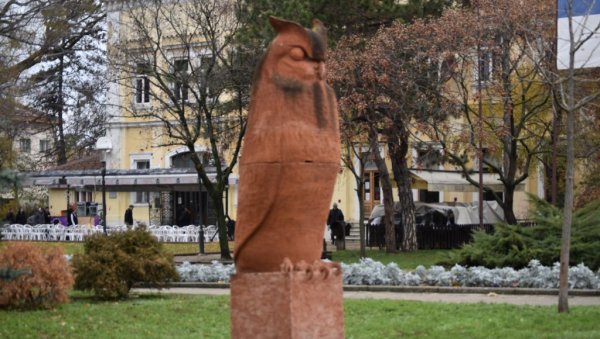 У КИКИНДИ ПОЧЕО СОВЕМБАР: Месец посвећен утинама, јер је овде највеће зимовалиште ових птица