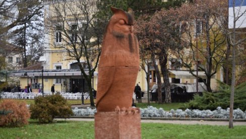 U KIKINDI POČEO SOVEMBAR: Mesec posvećen utinama, jer je ovde najveće zimovalište ovih ptica