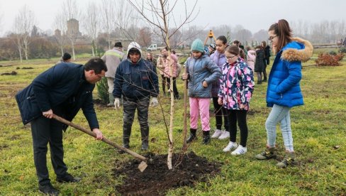 ЗАСАЂЕНО 250 САДНИЦА У ПАРКУ: Акција садње у Руском Селу код Кикинде