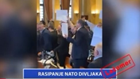 RASIPANJE NATO DIVLJAKA