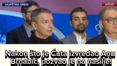 ĆUTA IZVREĐAO ANU BRNABIĆ, PA POZVAO NA NASILJE: Pošto nemamo većinu, idemo na ulicu! (VIDEO)