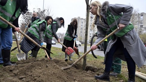 I DRVO NOVOSTI ZA ZELENIJI BEOGRAD: Naša kuća odazvala se akciji brige o životnoj sredini u organizaciji kompanije Docloop