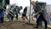 I DRVO NOVOSTI ZA ZELENIJI BEOGRAD: Naša kuća odazvala se akciji brige o životnoj sredini u organizaciji kompanije Docloop