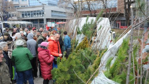 PODELJENO 514 SADNICA: Akcija Odseka za zaštitu životne sredine GU u Kraljevu