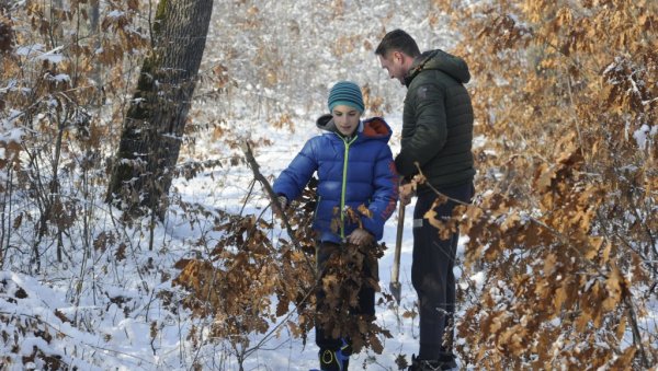 У СУСРЕТ НАЈРАДОСНИЈЕМ ПРАЗНКУ: Бадњи дан се традиционално обележава у краљевачком крају