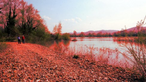 POCRVENELA: Otkriveno zašto je Drina promenila boju - desio se akcident, pojavila se rumena tečnost