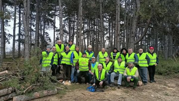 ПОШУМЉАВАЛИ РУСКО ГРОБЉЕ: Засадили 25 садница белог бора