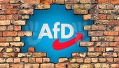 AfD-U NAJVEĆA PODRŠKA: Objavljeni rezultati poslednje ankete javnog mnjenja u Nemačkoj AfD-U NAJVEĆA PODRŠKA: Objavljeni rezultati poslednje ankete javnog mnjenja u Nemačkoj
