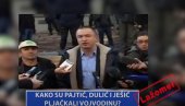 Kako su Pajtić, Ješić i Dulić pljačkali Vojvodinu? (VIDEO)