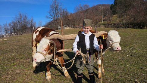 PANTELIĆ SPREMILI FESTIVAL: Da blago ne potamni