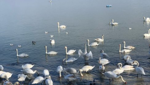 VREME DANAS: Padaće kiša