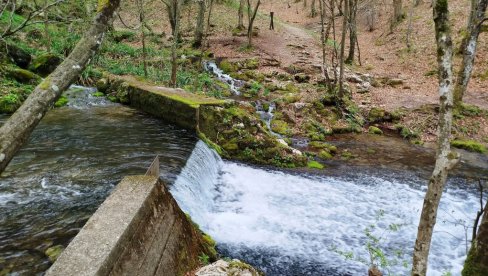 ВОЛОНТЕРИ ЧИСТЕ ГРЗУ: Еколошка акција „Нашег станишта“ код Параћина