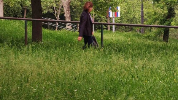 КОСЕ ПО ПЛАНУ, А ТРАВА ДО КОЛЕНА: Док се грађани жале да јавне површине нису уредне, надлежни поричу КОСЕ ПО ПЛАНУ, А ТРАВА ДО КОЛЕНА: Док се грађани жале да јавне површине нису уредне, надлежни поричу