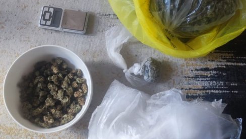 HAPŠENJE U PODGORICI: U stanu nađeno 680 grama marihuane HAPŠENJE U PODGORICI: U stanu nađeno 680 grama marihuane