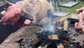 ОВАКО БЛОКАДЕРИ ФОТЕЉАШИ ЖАЛЕ ЖРТВЕ: Док Вучић брани интересе Србије у Москви, они окрећу вола у Лозници (ВИДЕО) ОВАКО БЛОКАДЕРИ ФОТЕЉАШИ ЖАЛЕ ЖРТВЕ: Док Вучић брани интересе Србије у Москви, они окрећу вола у Лозници (ВИДЕО)