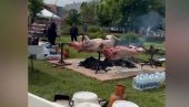 NARODE, OVO JE STRAŠNO: U Loznici više pečenih volova nego blokadera, ceo dan maltretiraju građane! (VIDEO)