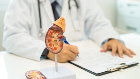 DA LI VAM BUBREZI ŠALJU SIGNALE ZA UZBUNU? Pet znakova oštećenja koji se javljaju noću DA LI VAM BUBREZI ŠALJU SIGNALE ZA UZBUNU? Pet znakova oštećenja koji se javljaju noću
