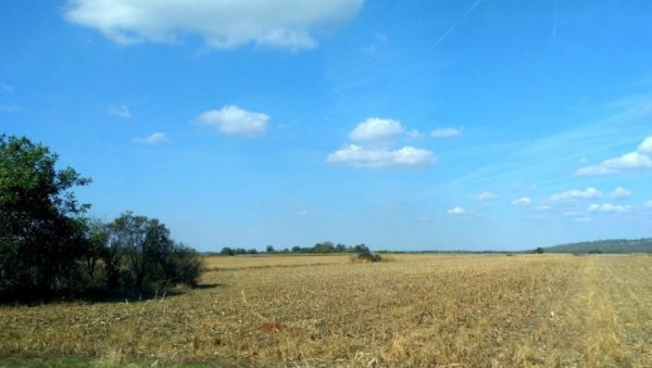 ЗАКУП ДРЖАВНИХ ЊИВА: Пожаревац даје у једногодишњи закуп 434 парцеле ЗАКУП ДРЖАВНИХ ЊИВА: Пожаревац даје у једногодишњи закуп 434 парцеле