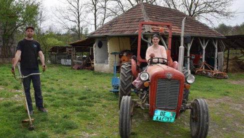 ZIBEN SE NA TRAKTORU ODMARA: Za domaćina iz Despotovca, Darka Miladinovića, sezona traje 365 dana u godini