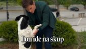 DANAS JE DAN ZAJEDNIŠTVA Brnabić: Pozivamo vas da svi dođete da nam se pridružite u prelepom našem Nišu (VIDEO) DANAS JE DAN ZAJEDNIŠTVA Brnabić: Pozivamo vas da svi dođete da nam se pridružite u prelepom našem Nišu (VIDEO)