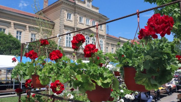 ОТВОРЕН ПРОЛЕЋНИ САЈАМ ЦВЕЋА И МЕДА У СМЕДЕРЕВУ: Продајна изложба до 25.маја ОТВОРЕН ПРОЛЕЋНИ САЈАМ ЦВЕЋА И МЕДА У СМЕДЕРЕВУ: Продајна изложба до 25.маја